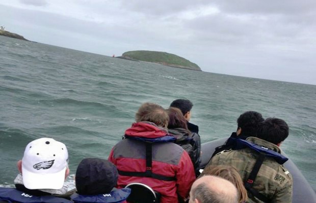 RIB ride Puffin Island