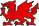 Welsh Dragon